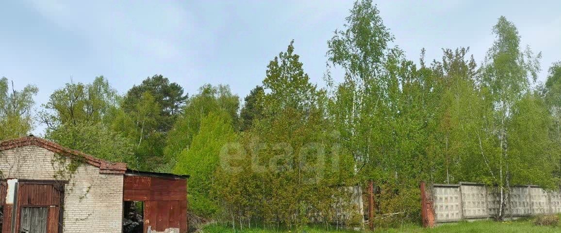 земля г Подольск п Поливаново ул Центральная Ватутинки фото 6