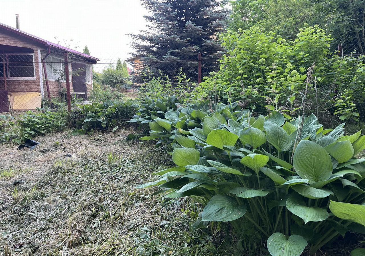 дом г Раменское днп Дубки ул Лесная 33 52 км, Раменский муниципальный округ, Белоозёрский, Рязанское шоссе фото 15