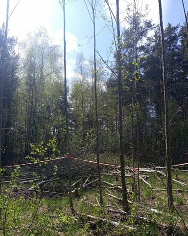 г Шлиссельбург пер Садовый Мурманское шоссе, 28 км, Шлиссельбургское городское поселение фото