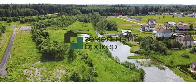 Березы кп фото