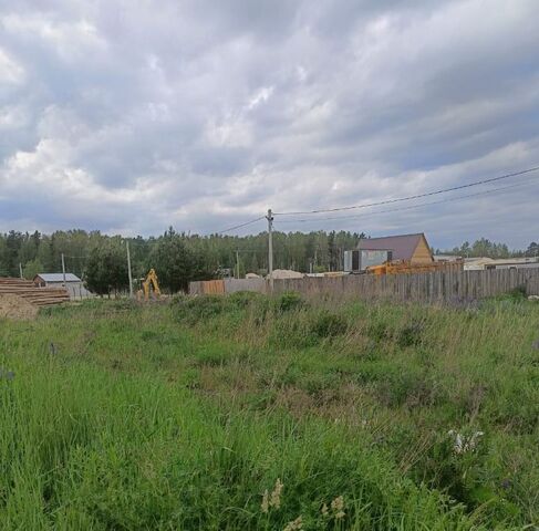 п Вольгинский фото