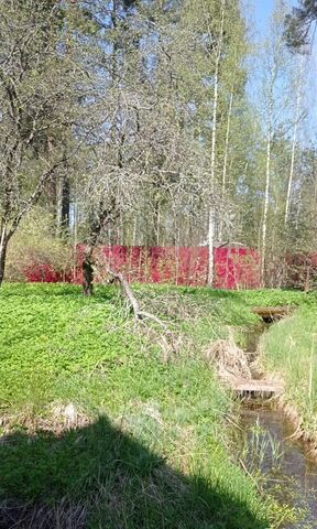 45 км, Гатчинский муниципальный округ, городской пос. Вырица, Киевское шоссе фото