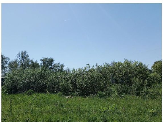 пос. Опытного хозяйства Ермолино, Хлебниково фото