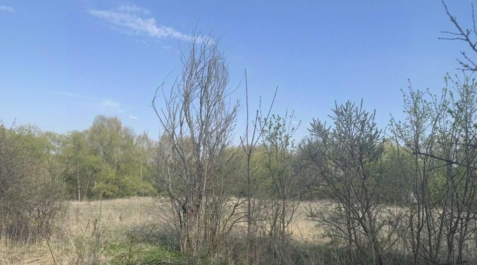 земля г Кашира д Кишкино фото 1