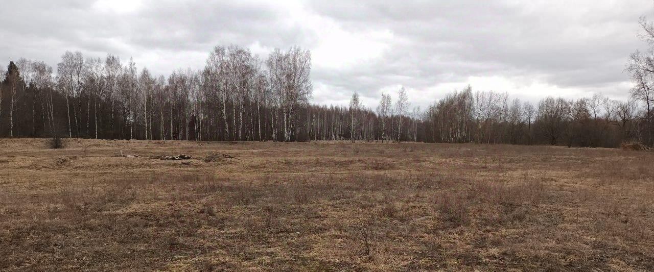 земля г Лосино-Петровский д Савинки фото 1