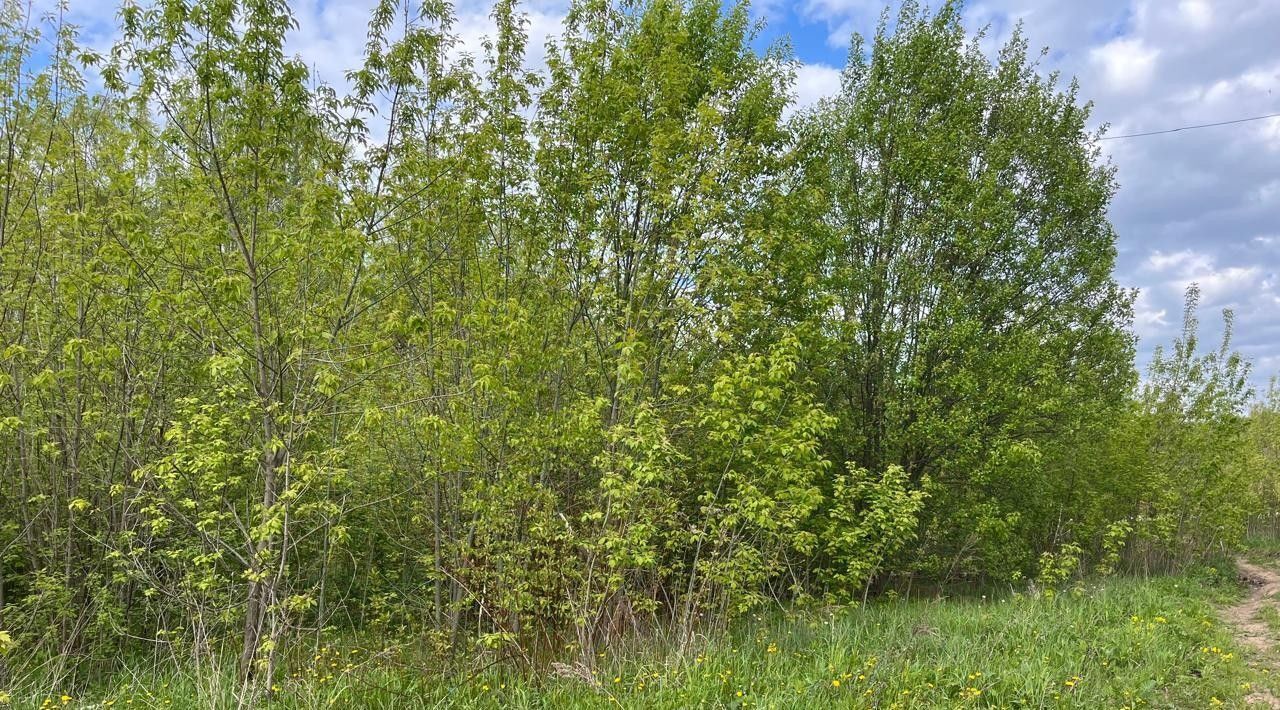 земля г Домодедово д Чулпаново Подольск, Новое фото 1