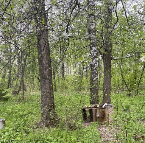 ул Праскунина фото