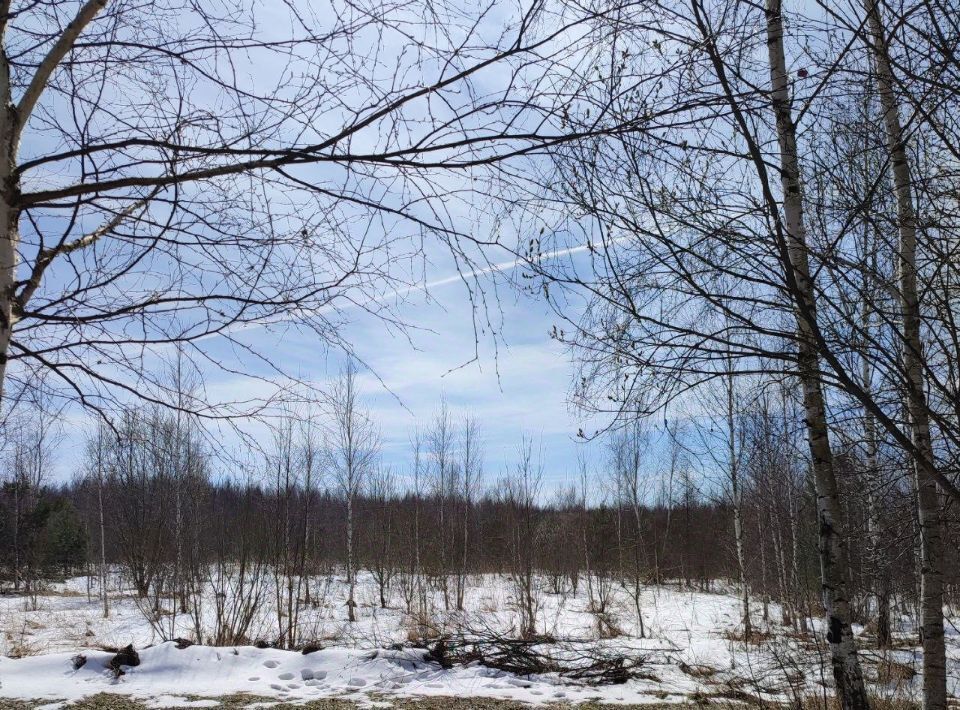 офис г Павловский Посад фото 1