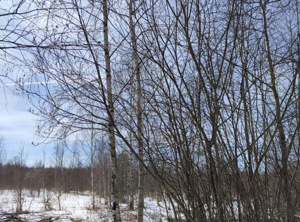 офис г Павловский Посад фото 2