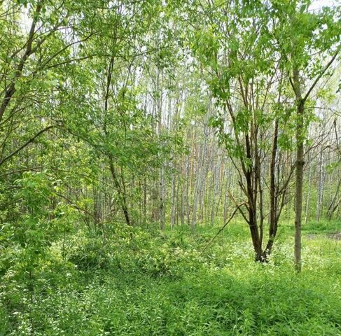 проезд Коммунальный фото