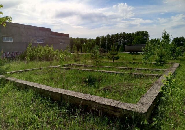 Р-255 Сибирь, 58-й километр фото