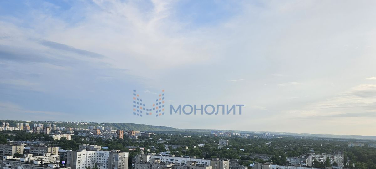 квартира г Нижний Новгород Парк культуры пр-кт Ленина 98д/1 фото 3