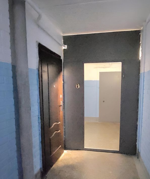 квартира г Колпино ул Веры Слуцкой 38 Шушары фото 8