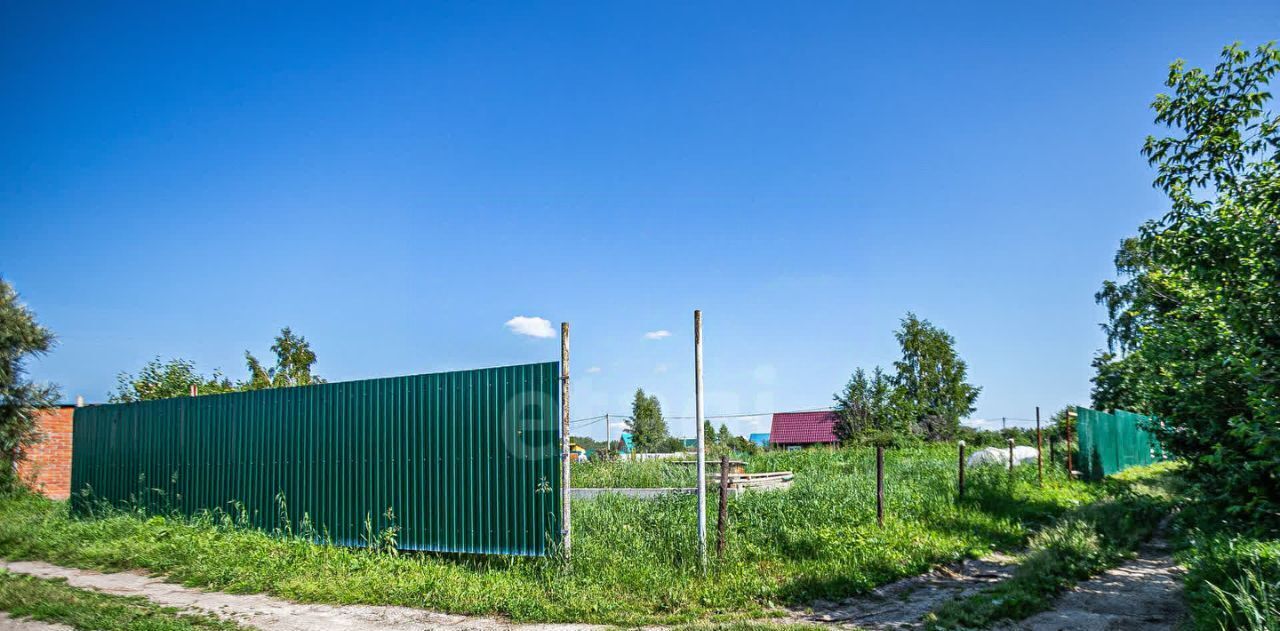 земля г Бердск снт Ива ул 1-я фото 17