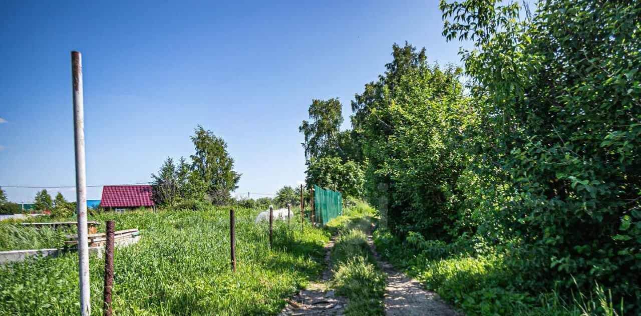 земля г Бердск снт Ива ул 1-я фото 18
