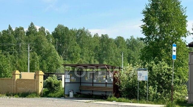 земля снт Березка фото