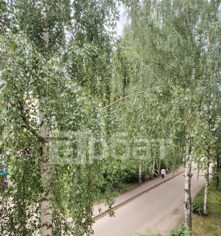 квартира р-н Буйский г Буй ул Ленских Событий 4 фото 7