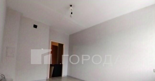 квартира г Новосибирск Золотая Нива ул Бориса Богаткова 218 фото 4