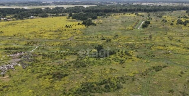 Калининград, Зеленоградский муниципальный округ фото