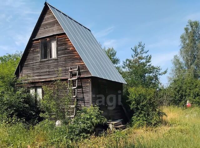 Ипподром, 391, Раменский муниципальный округ, Сосны СНТ фото