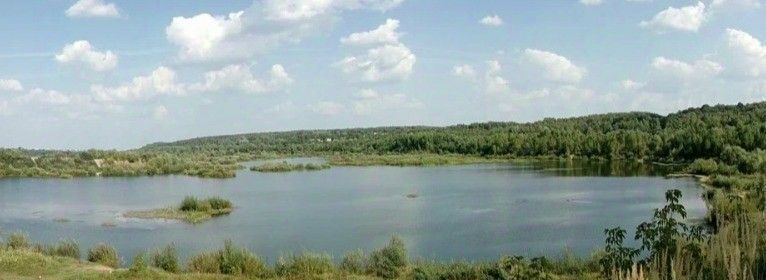 земля г Серпухов Рыбацкая Деревня кп, 40 фото 4