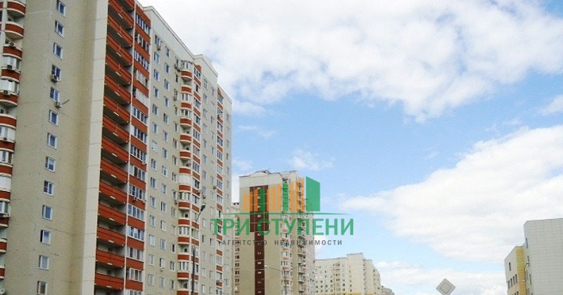 квартира г Балашиха мкр Авиаторов ул Третьяка 1 м-н фото 2