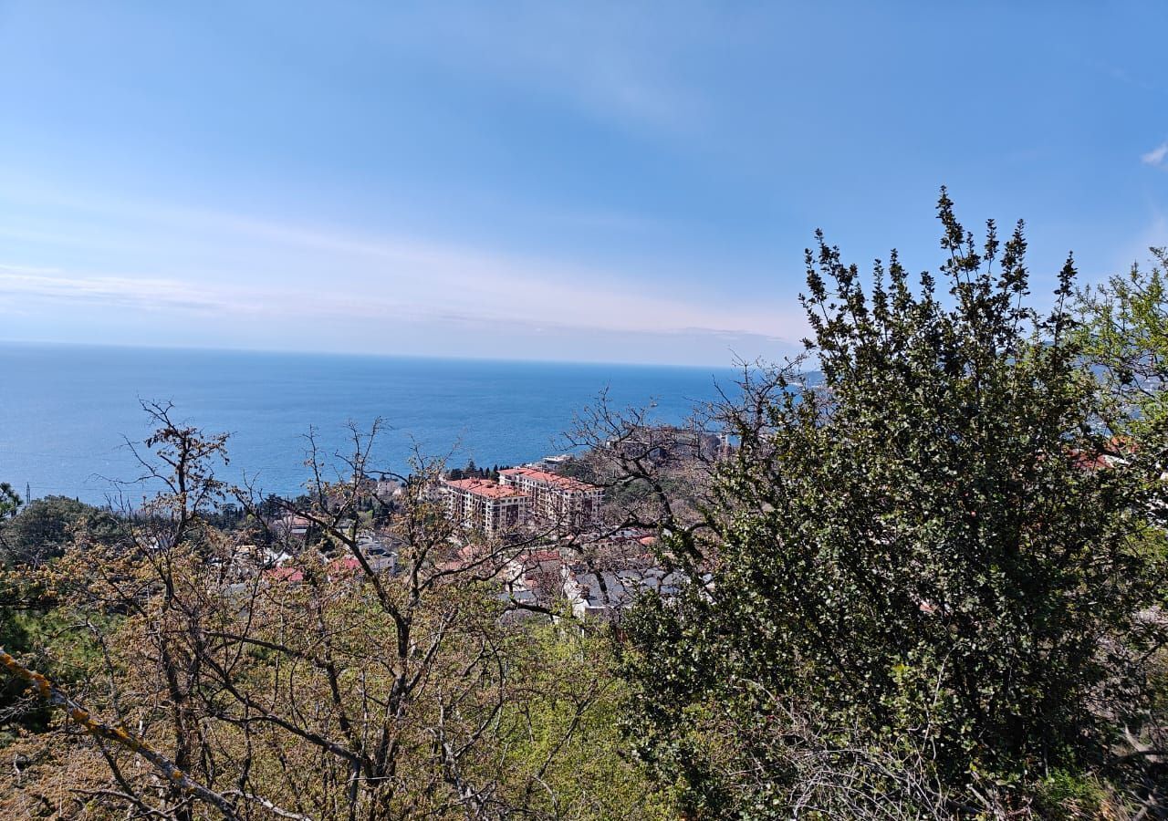 земля г Ялта пгт Восход фото 4