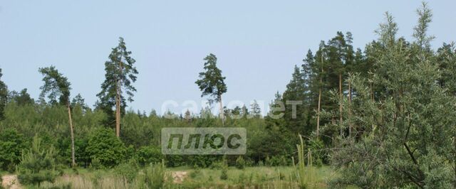 земля Аква Викториас Вилладж уч фото
