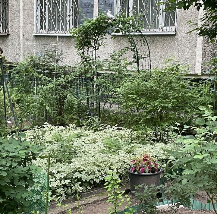 квартира г Москва метро Чертановская проезд Сумской 12к/2 фото 3