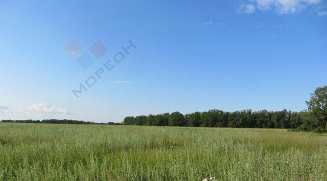 п Дорожный ул Южная 16 р-н Карасунский фото