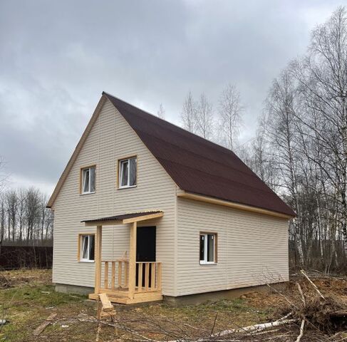 Домодедовская фото