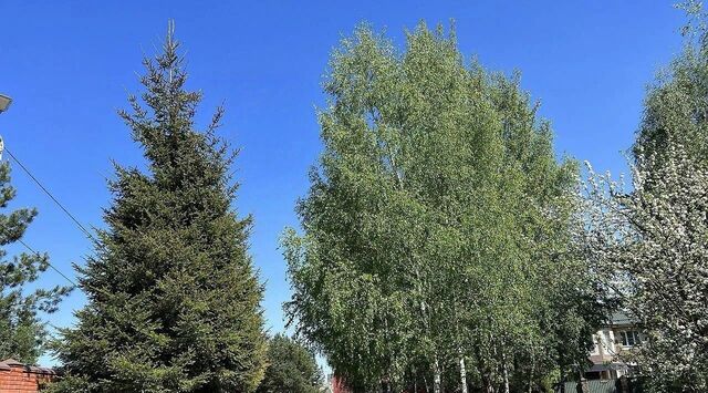 с Красный Путь Домодедовская фото