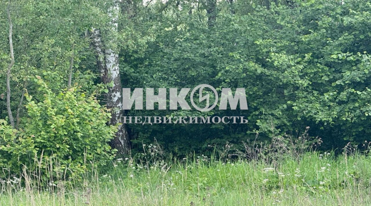 земля г Раменское дп Лесной Прибрежный 108, Раменский муниципальный округ фото 2