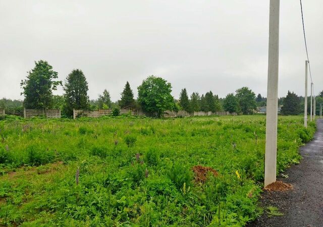 19 км, Дмитровское шоссе фото
