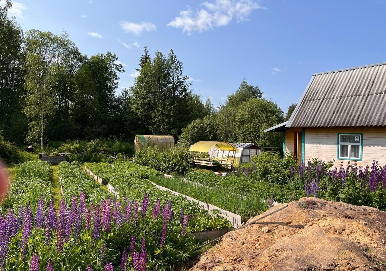 дом р-н Боровичский г Боровичи тер сдт Рябинушка Боровичское городское поселение фото 2