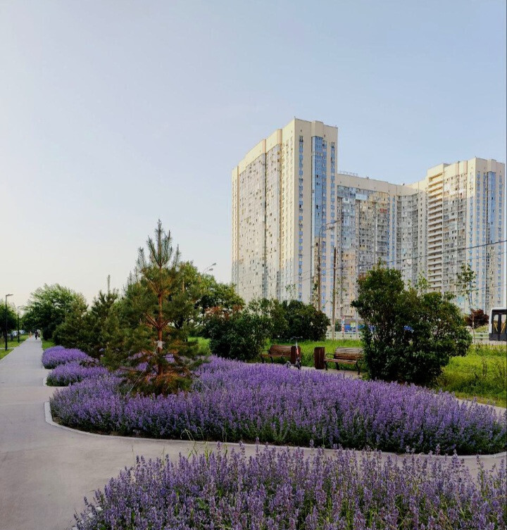 квартира г Химки Новые Химки ул Молодежная 78 фото 26