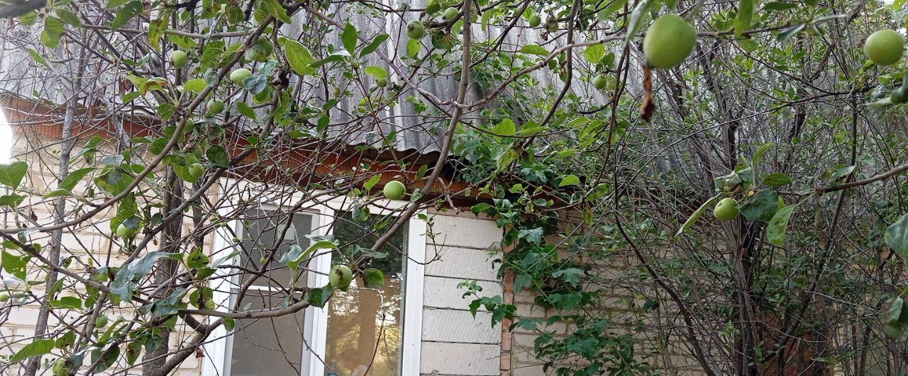 земля г Челябинск р-н Советский сад Локомотив 2 ул. 5-я, 352 фото 2