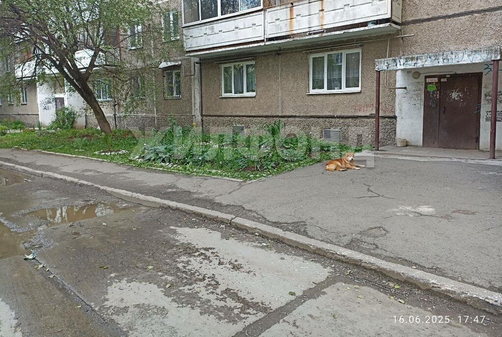 квартира г Нижний Тагил ул Юности 45 фото 2