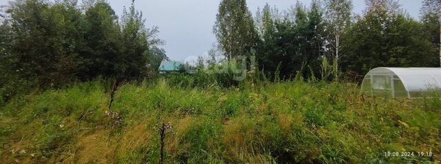 снт Восход-1 Томский район фото