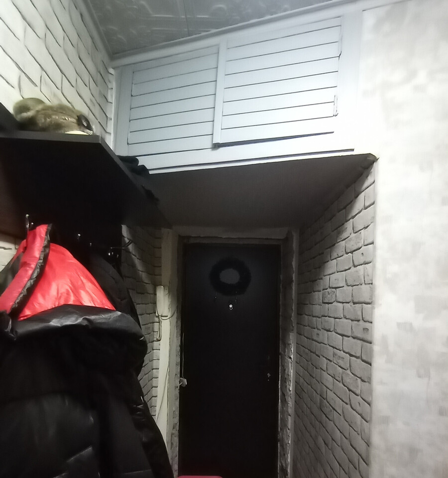 квартира г Воронеж ул Циолковского 123 фото 4