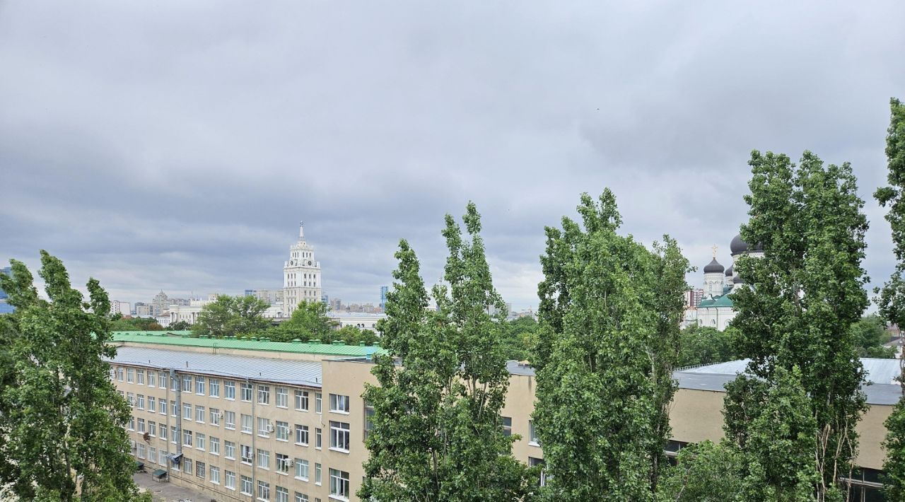 квартира г Воронеж р-н Центральный ул Арсенальная 4а фото 46