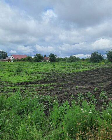 Р-119, 18-й километр, Орёл фото