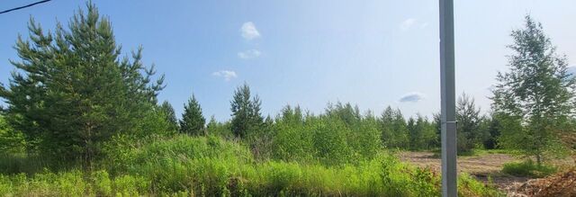 Нижний Новгород фото