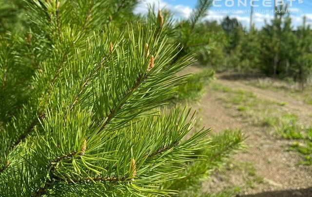 д Токарево ул Просторная 23 коттеджный посёлок Светлый фото
