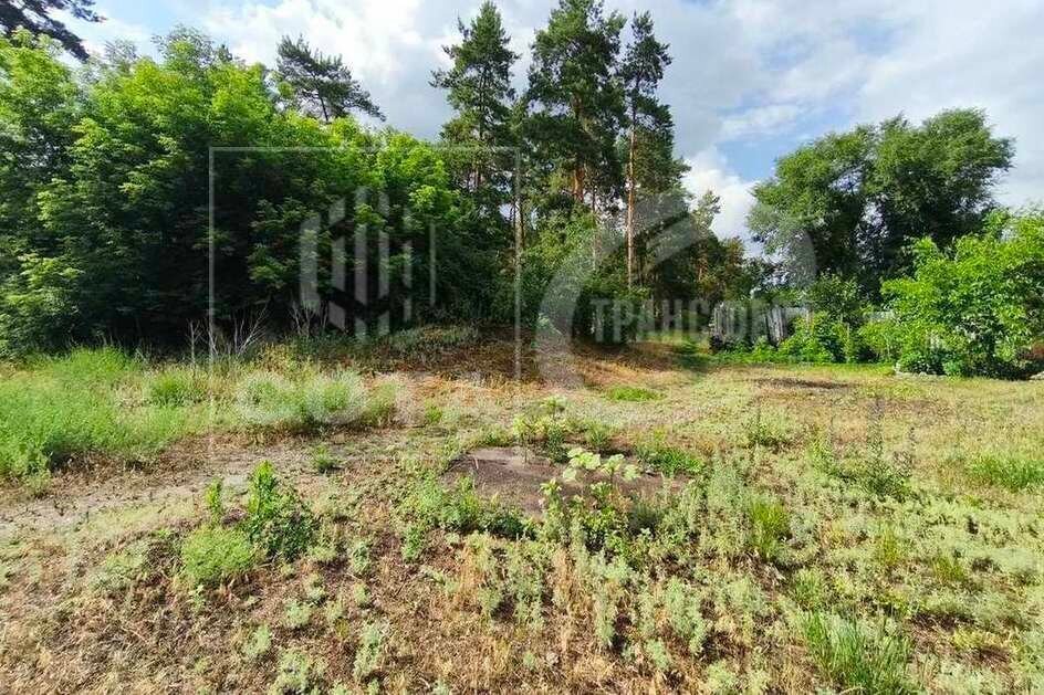 дом г Воронеж ул 206 стрелковой дивизии 120 фото 22