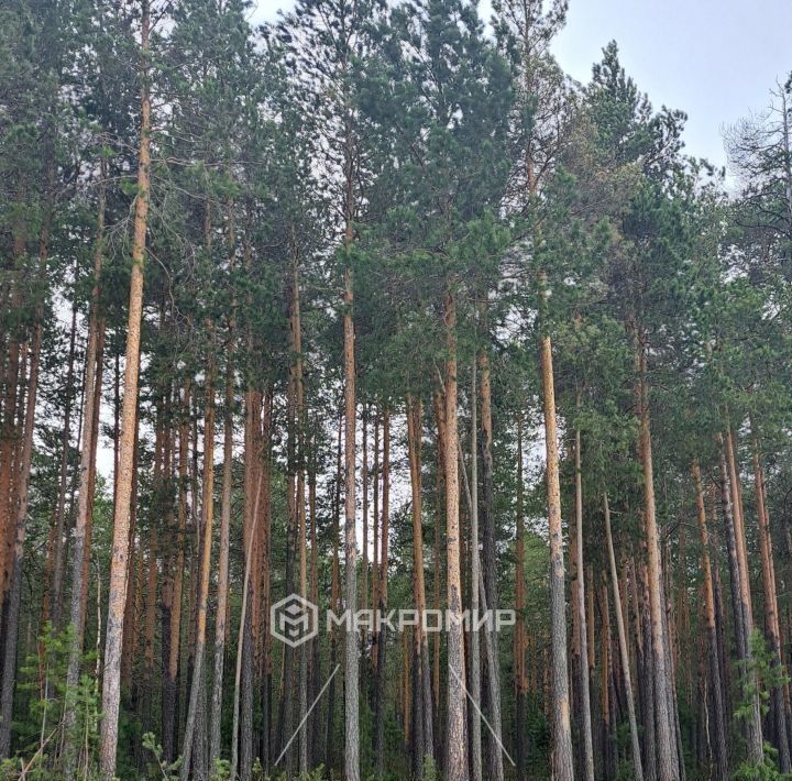 дом г Сургут Лесное садовое товарищество, ул. Клубничная, 137 фото 18