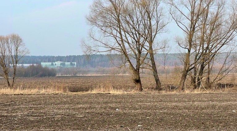 земля г Кашира п Большое Руново ул Центральная фото 1