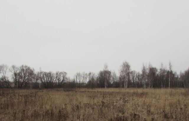 земля д Жиливо Коломна городской округ фото