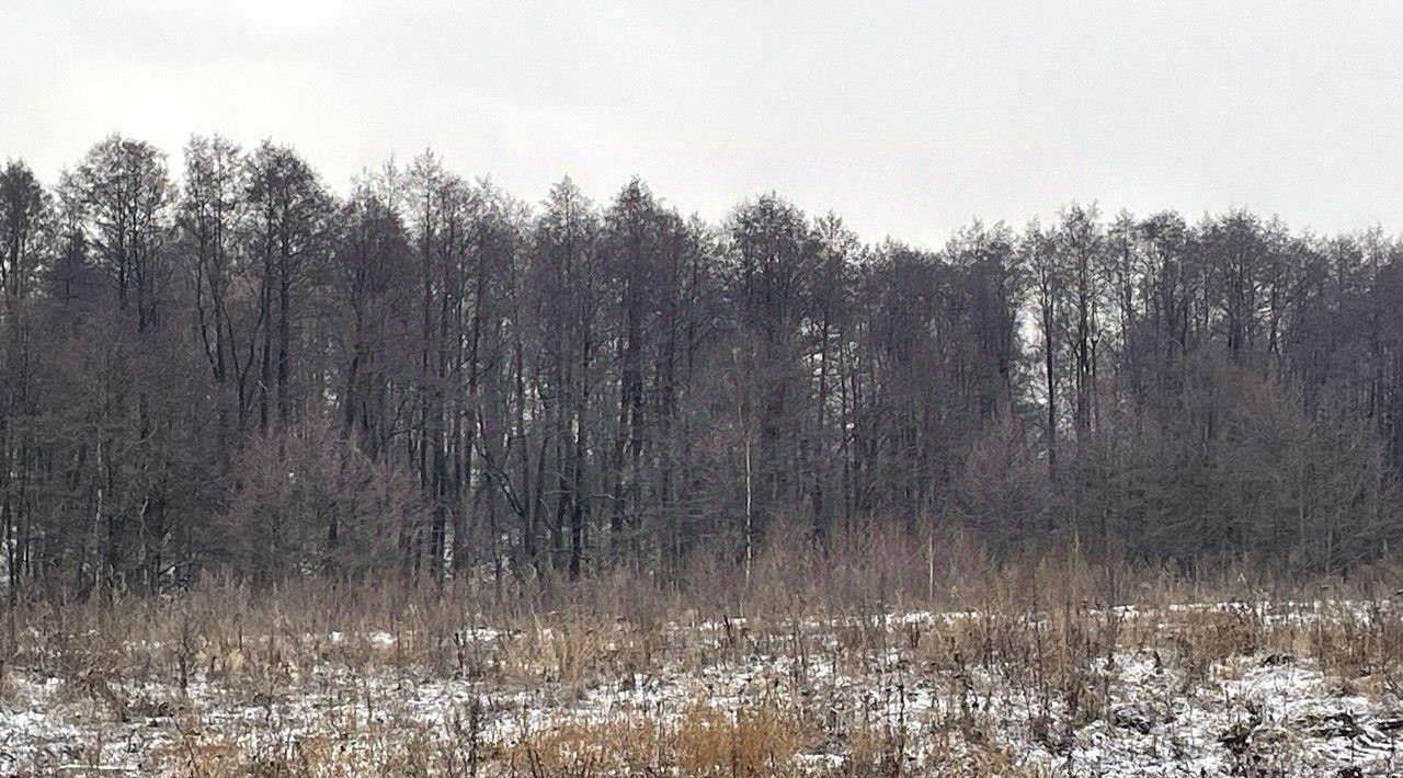 земля г Бронницы фото 1