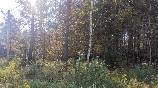 земля д Асташково ул Сосновая фото